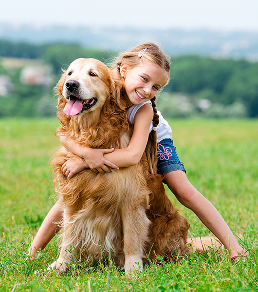 girl hugging golden in field in summer