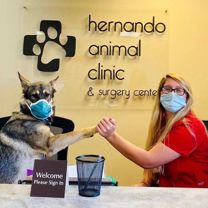 Hernando Animal Clinic and Surgery Center