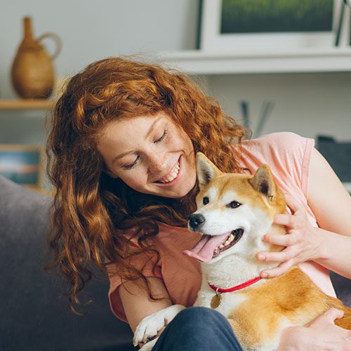 woman sitting on a couch with her shiba inu